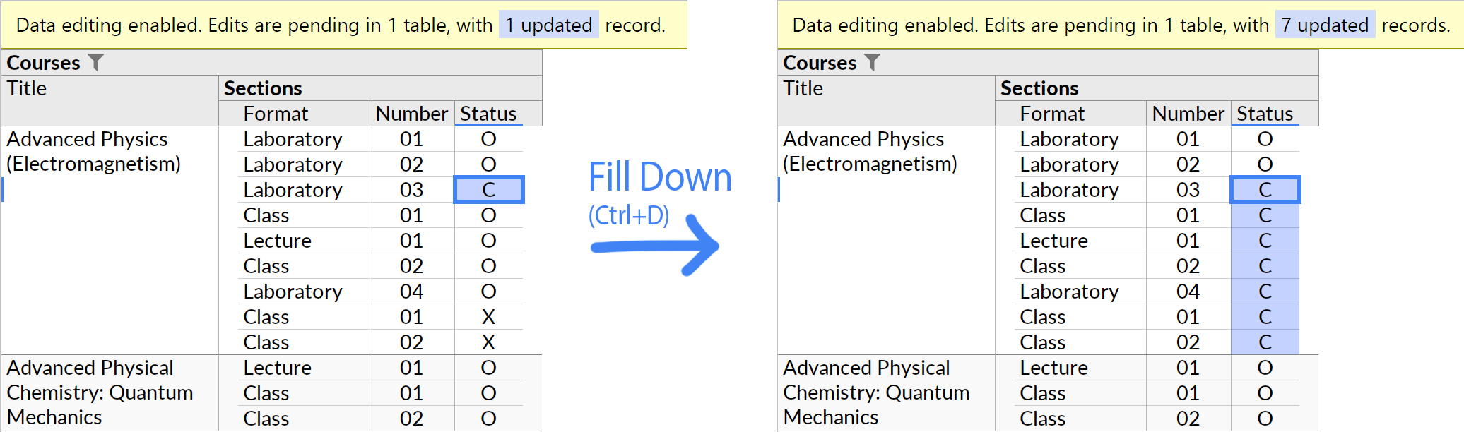 The Fill Down feature.