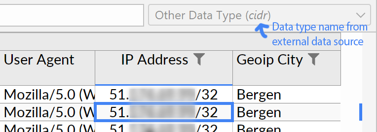 The column type indicator showing the backend type name of an otherwise unrecognized data type.